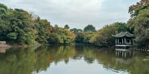 Wuxi